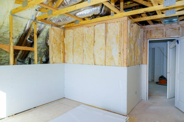 Insulation Repair Services in Danville, VA