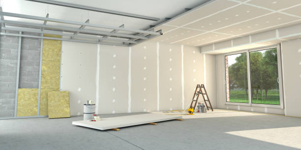 Best Insulation Removal  in Danville, VA