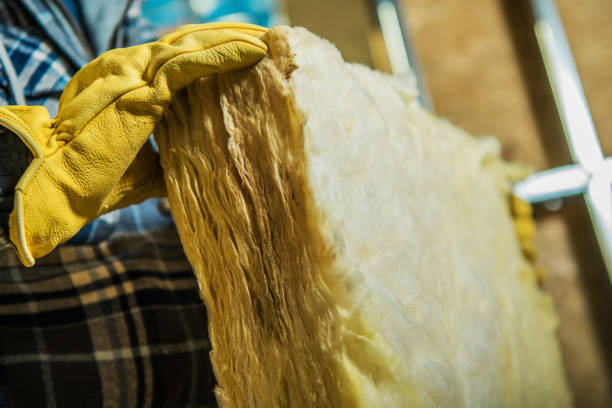 Best Wall Insulation Contractor  in Danville, VA