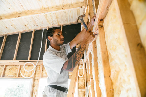 Best Garage Insulation Installation  in Danville, VA