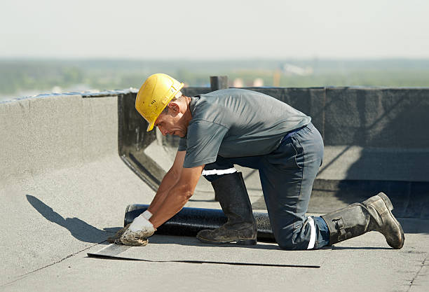 Best Attic Insulation Installation  in Danville, VA