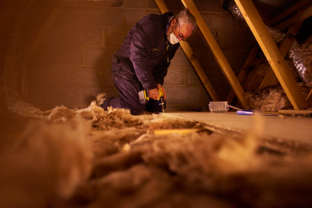 Best Best Insulation Companies  in Danville, VA