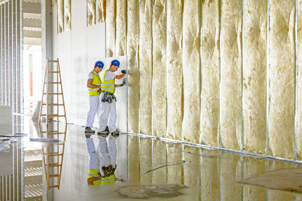 Best Cellulose Insulation  in Danville, VA